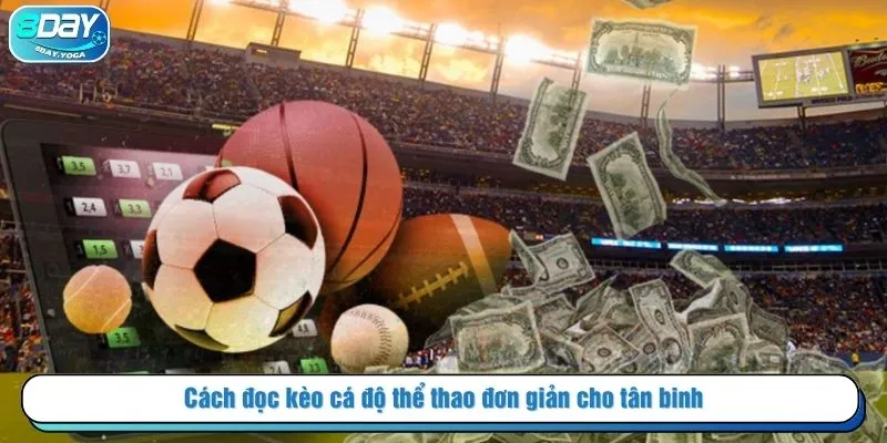 Cách đọc kèo cá độ thể thao đơn giản cho tân binh
