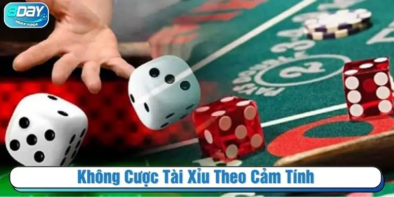 Không cược Tài xỉu theo cảm tính