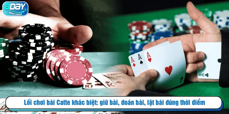 Lối chơi bài Catte khác biệt: giữ bài, đoán bài, lật bài đúng thời điểm