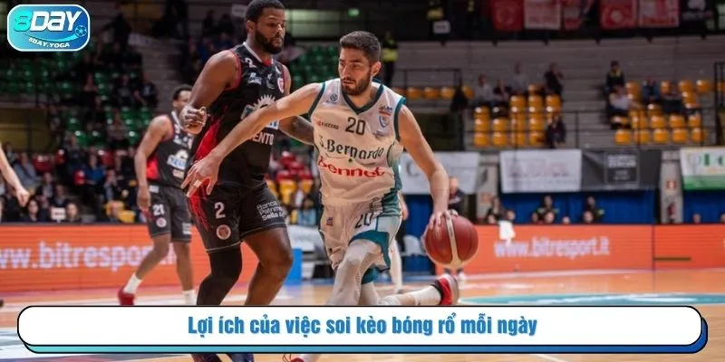 Lợi ích của việc soi kèo bóng rổ mỗi ngày