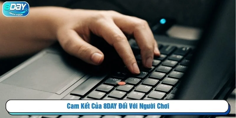 Nhà cái cam kết mang đến môi trường cá cược minh bạch