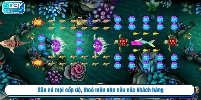 Săn cá mọi cấp độ, thoả mãn nhu cầu của khách hàng