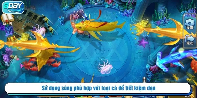 Sử dụng súng phù hợp với loại cá để tiết kiệm đạn