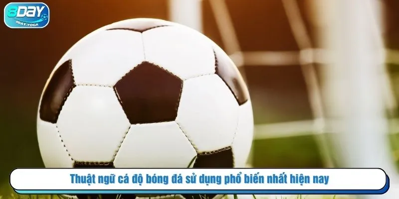 Thuật ngữ cá độ bóng đá sử dụng phổ biến nhất hiện nay