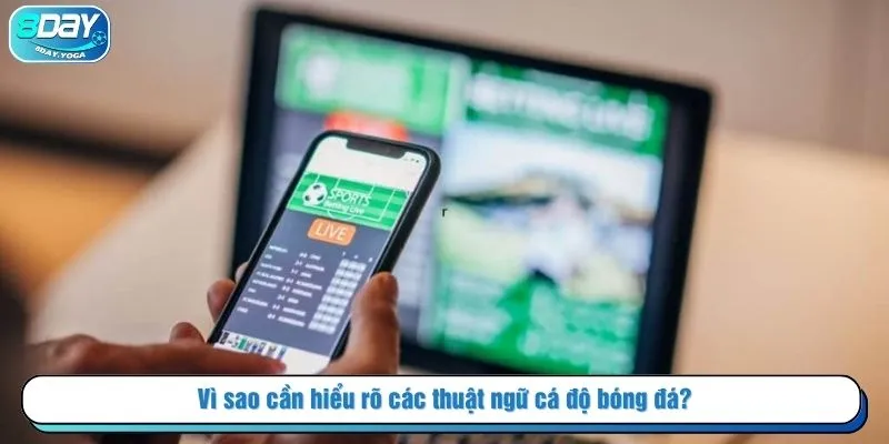 Vì sao cần hiểu rõ các thuật ngữ cá độ bóng đá?