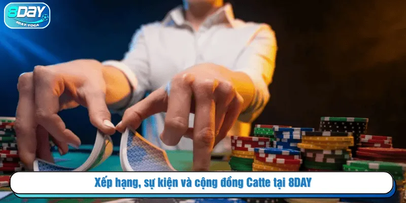 Xếp hạng, sự kiện và cộng đồng Catte tại 8DAY
