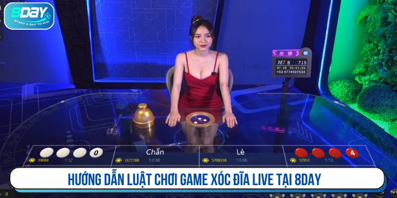 Nắm rõ luật chơi xóc đĩa live khi tham gia tại 8DAY
