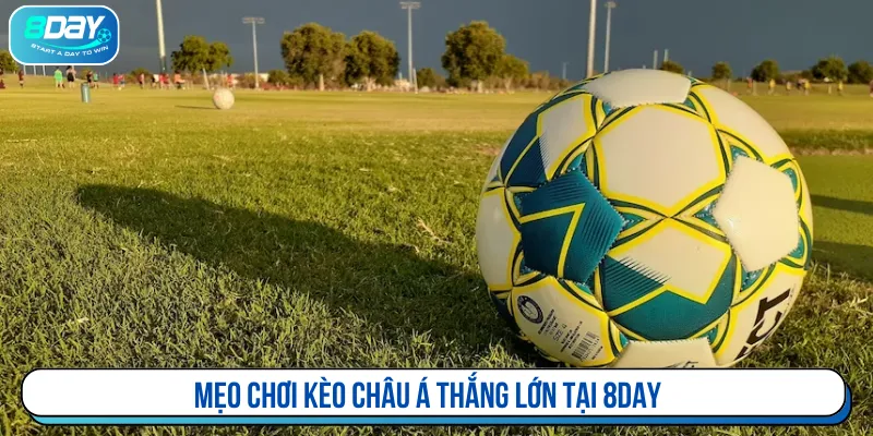 Tận dụng các bí kíp khi đặt cược bóng đá tại 8DAY